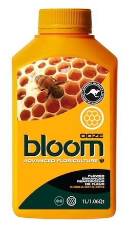BLOOM OOZE QT
