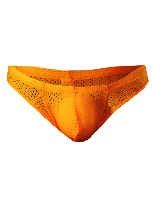 Pride Mesh Bunz Brief