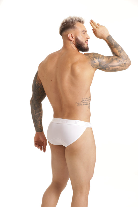 GIGO SCANALING STRING BRIEF