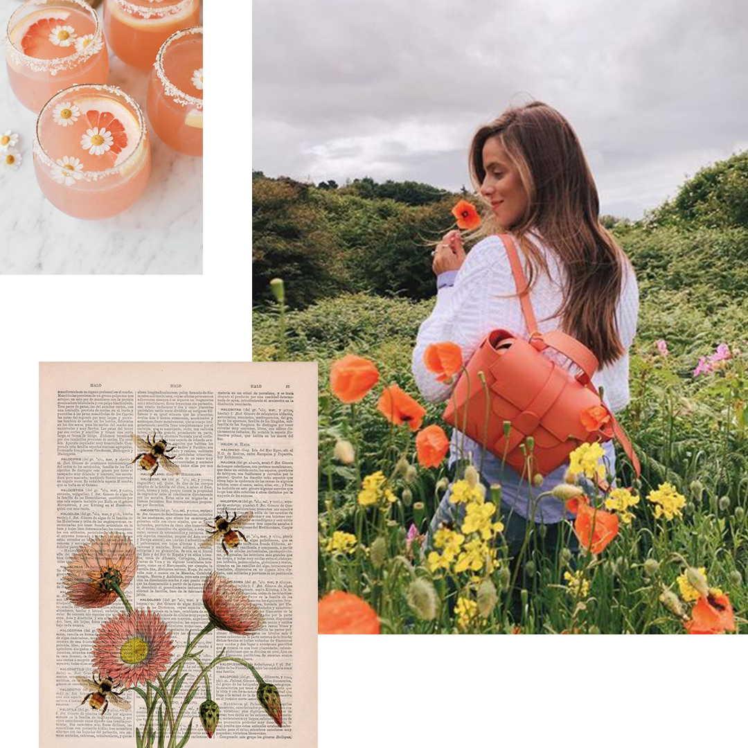 Coral Handbag and Flower Collage
