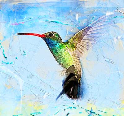 hummingbird dream meaning