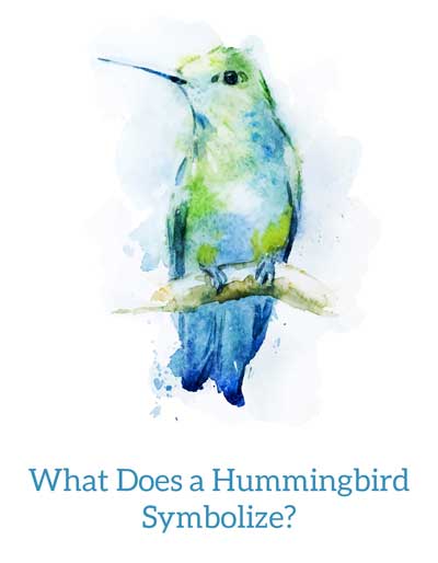 Hummingbird visits have meaning