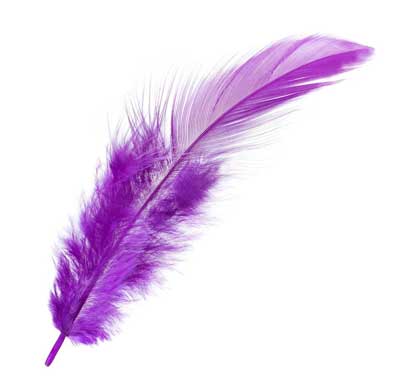 purple feather meaning