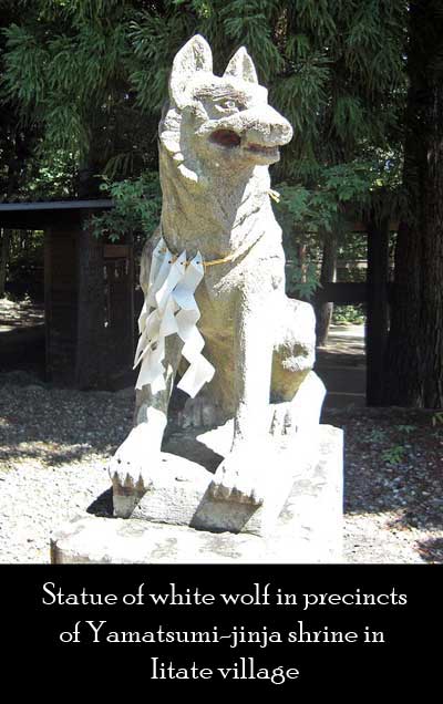 Statue of White wolf in Japanese Shrine