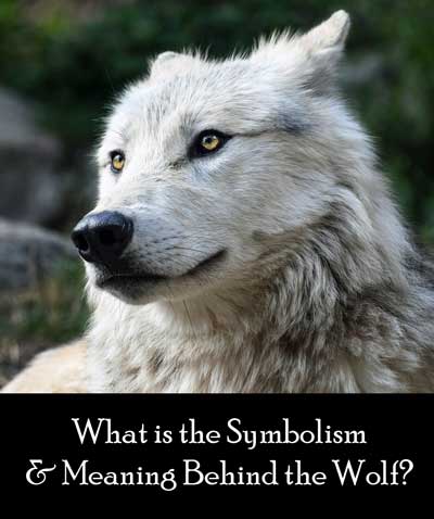 werewolf symbols and meanings