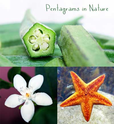 Five-pointed star meaning - starfish, flowers, & okra