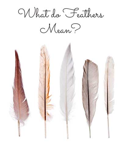 what do feathers mean