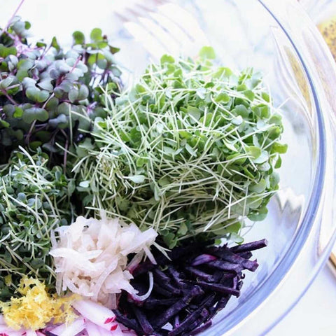 simple salad with microgreens