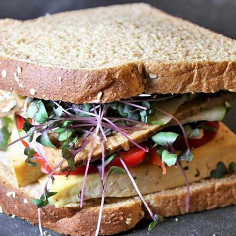 sandwich with microgreens