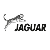 JAGUAR ~ SCISSORS & THINNERS Collection