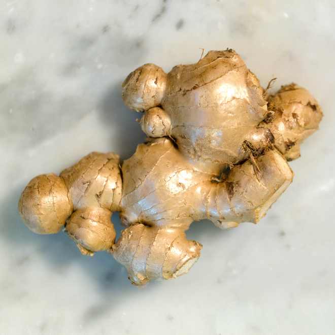GINGER