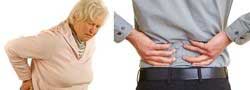 Back ache and low back pain relief with a Back Support from Active650