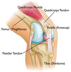 Active650 Patella Support helps with patella tendon issues and Osgood Schlatter