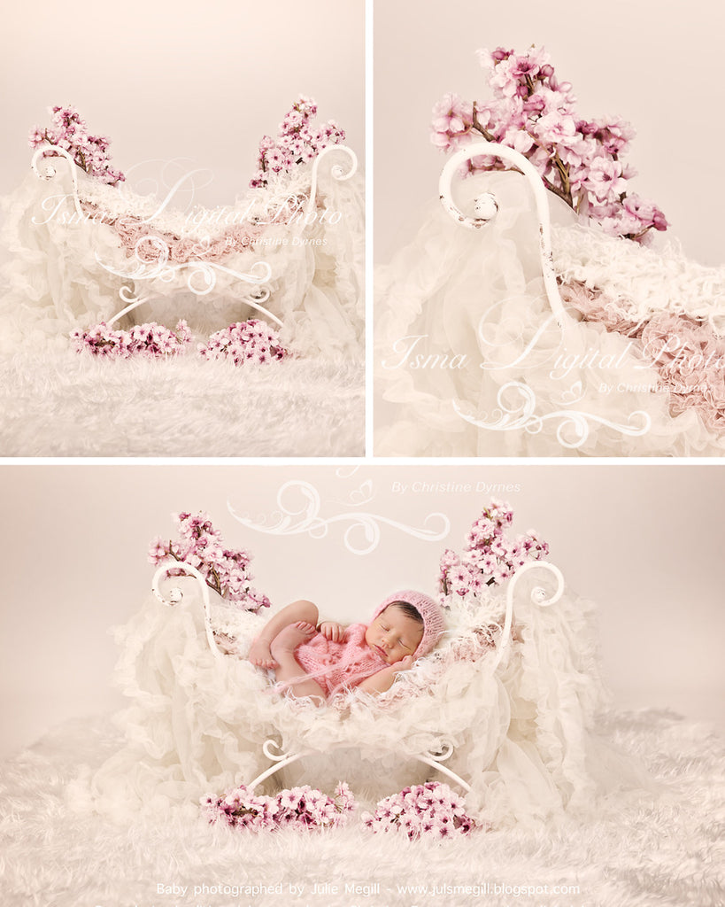 Collection - Newborn bed