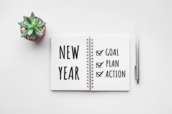 White background with an open journal, a pen, and a succulent plant. Journal pages read "New Year" and "Goal" "Plan" and "Action" each with a checkmark checked to the right of it. 