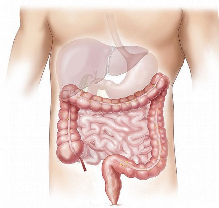 chăm sóc sức khỏe đại tràng