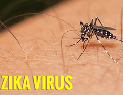phòng tránh virus zika