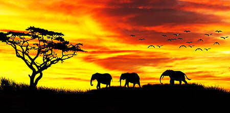 African Sunset