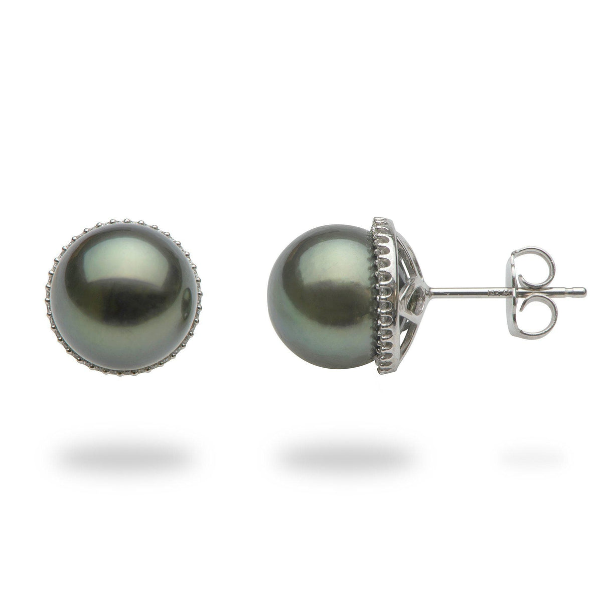 tahitian black pearl earrings