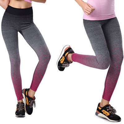 gym leggings ombre