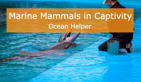 Marine Mammal Captivity Analysis