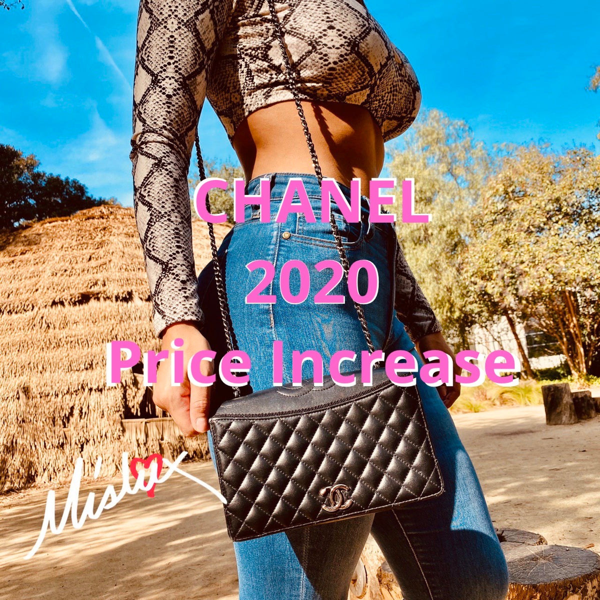 CHANEL PRICE INCREASE, MAY 2020