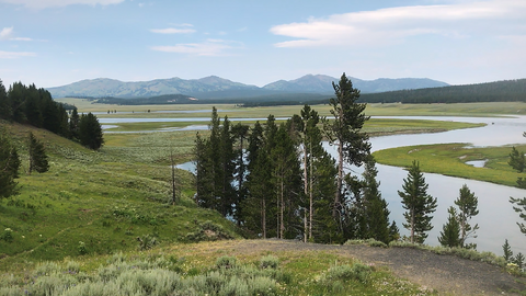 Yellowstone National Park River Overlook