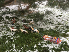 Isabella G. - First Snow Fun