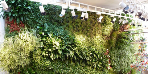 Living Wall