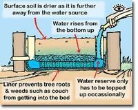 self-watering-raised-bed