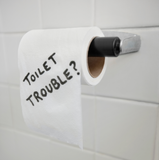 toilet-trouble