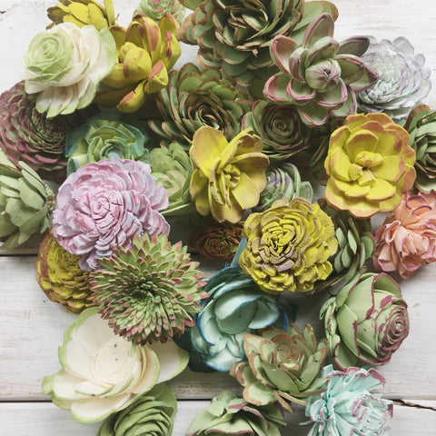 Succulent as Flowers  DIY Succulent Decor – 1800Flowers Petal Talk