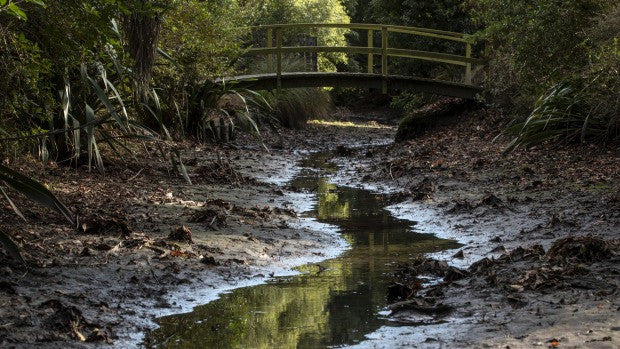 CHRISTCHURCH RIVERS LOWEST THEY’VE BEEN IN DECADES