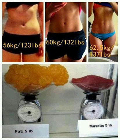 muscle vs fat