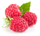 Raspberry Fruit