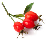 Rosehip