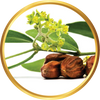 Jojoba Esters