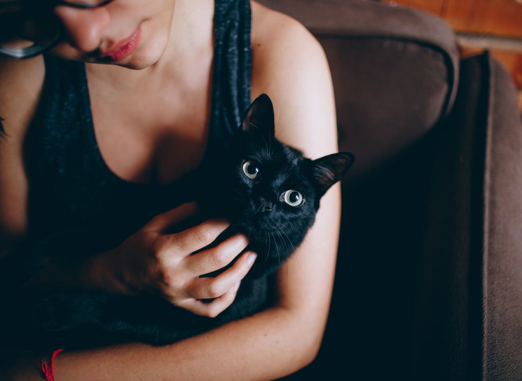 black-cat-cuddling-girl