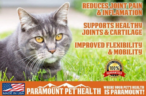liquid glucosamine for catss reduces joint pain