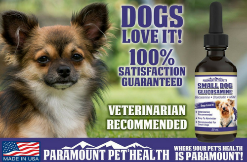 dogs love glucosamine for small dogs