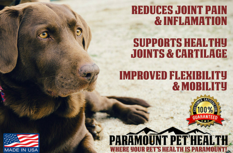 liquid glucosamine for dogs reduces joint pain