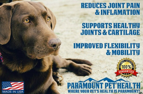 liquid glucosamine for large dogs reduces joint pain