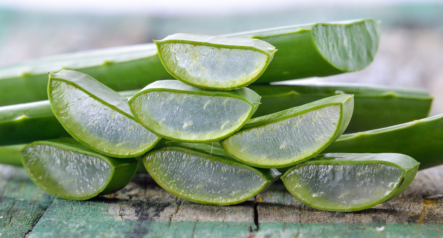 Men's Botanics Skincare Aloe Vera