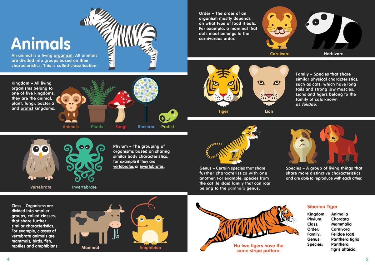 Infographics: Endangered Animals e-Book – BookLife