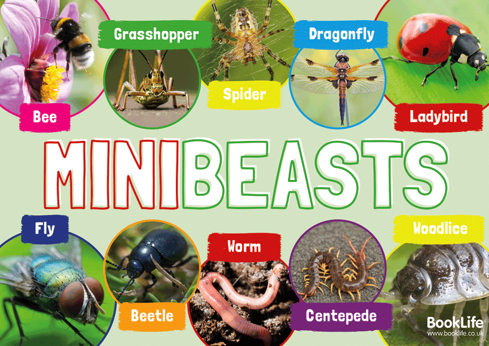 free-minibeasts-poster-booklife
