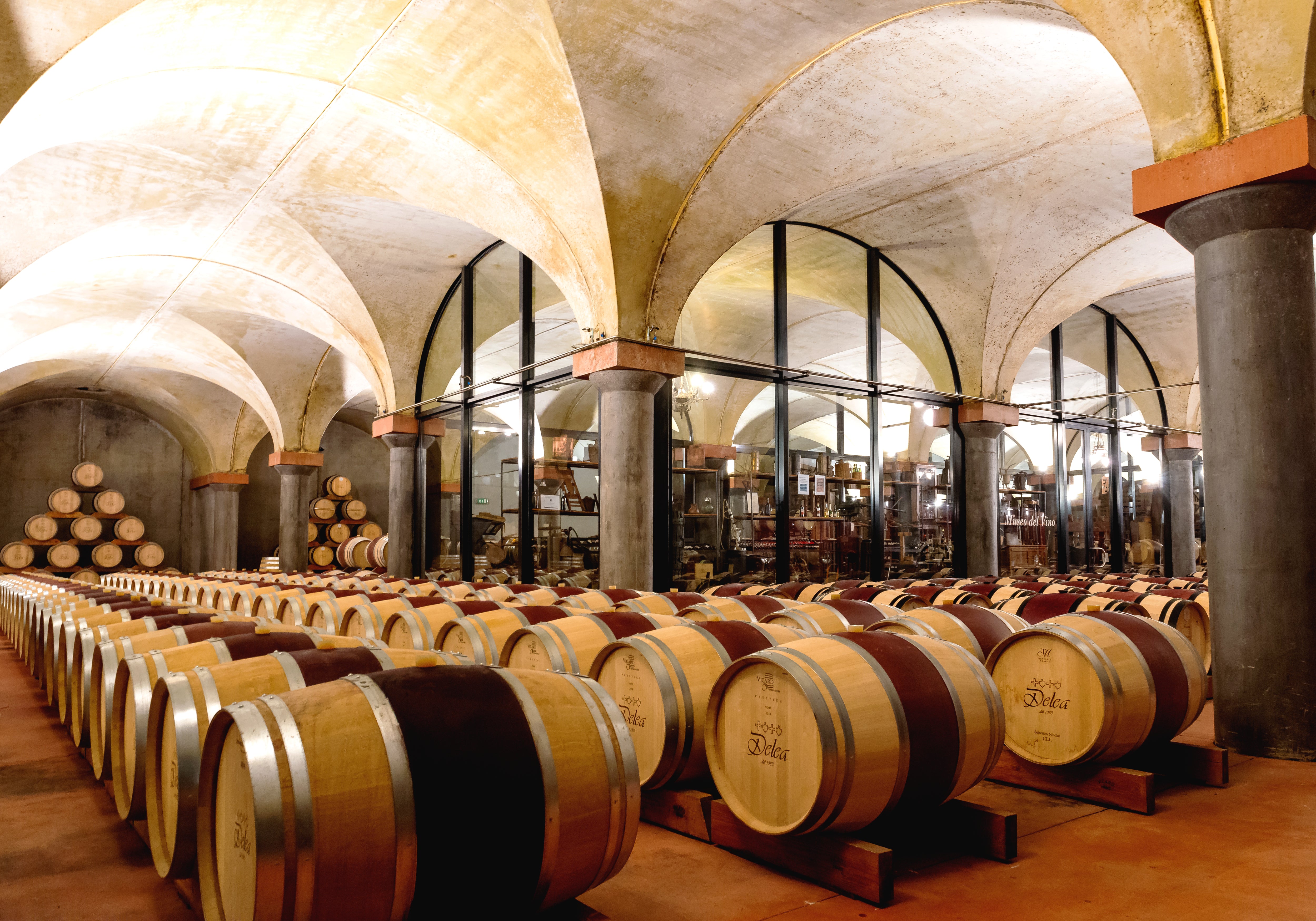 Cantine Delea e Museo del Vino sullo sfondo