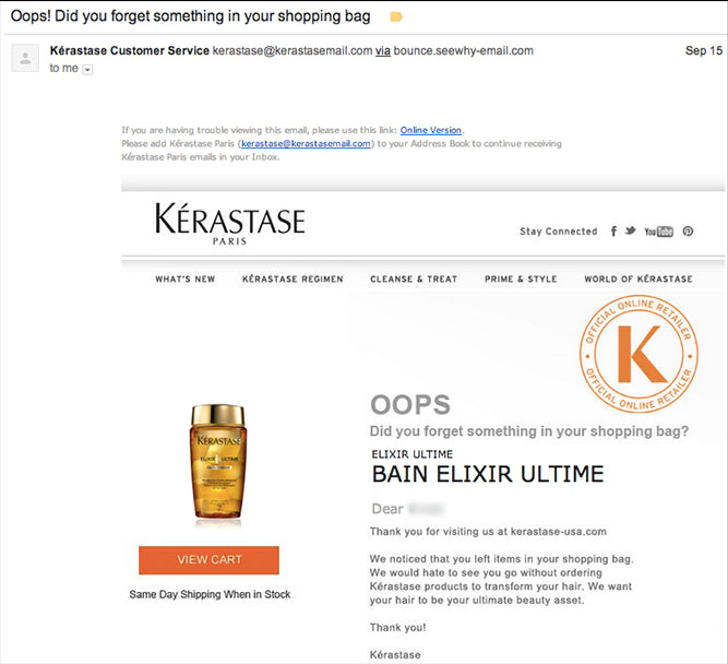 Kerastase abandoned cart email