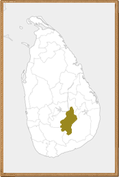 Uva/Sri Lanka