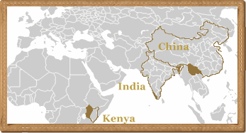 Nandi Highlands/Nilgiri & Assam/Yunnan Province