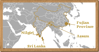 India / Sri Lanka / China